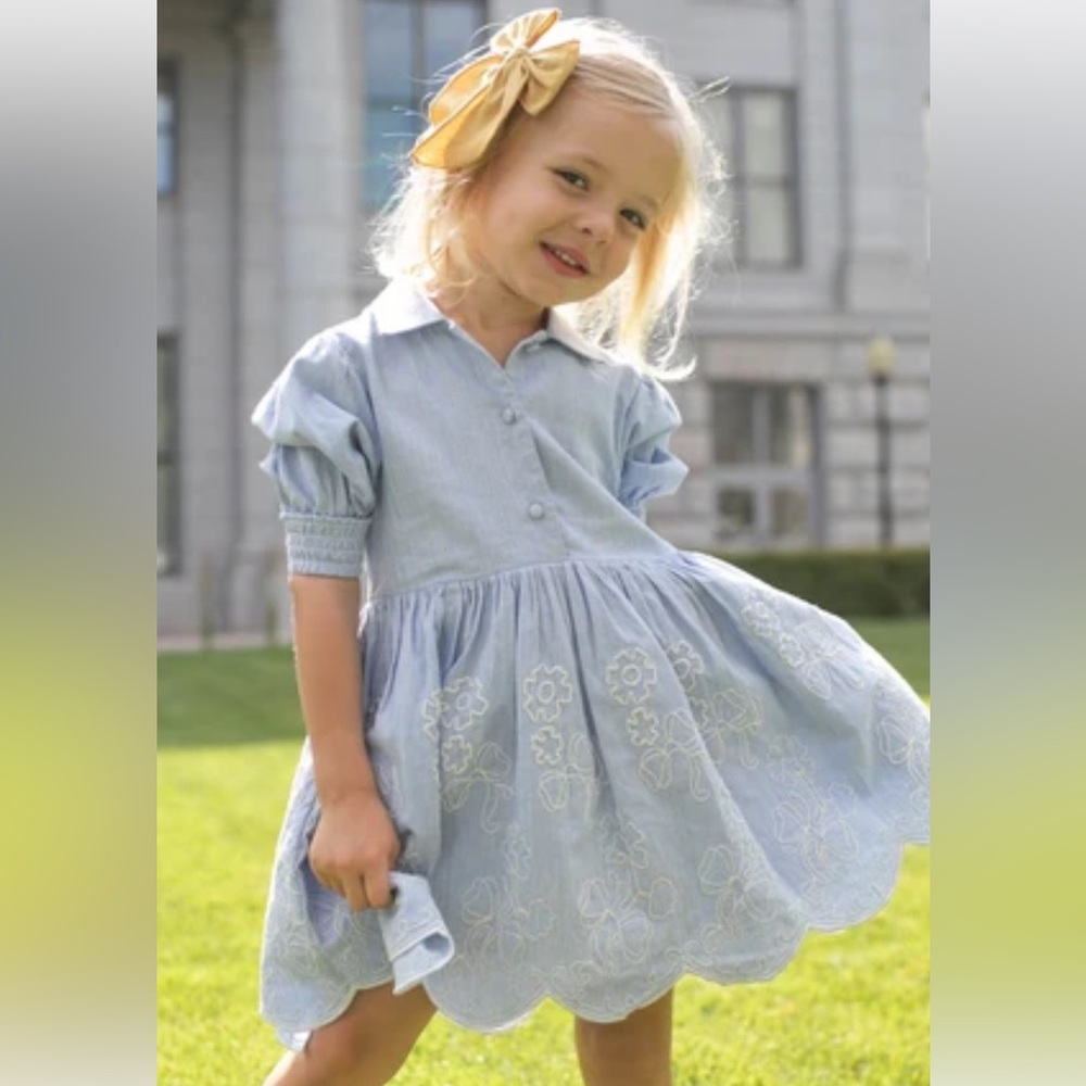 Ivy city dress mini size 3T